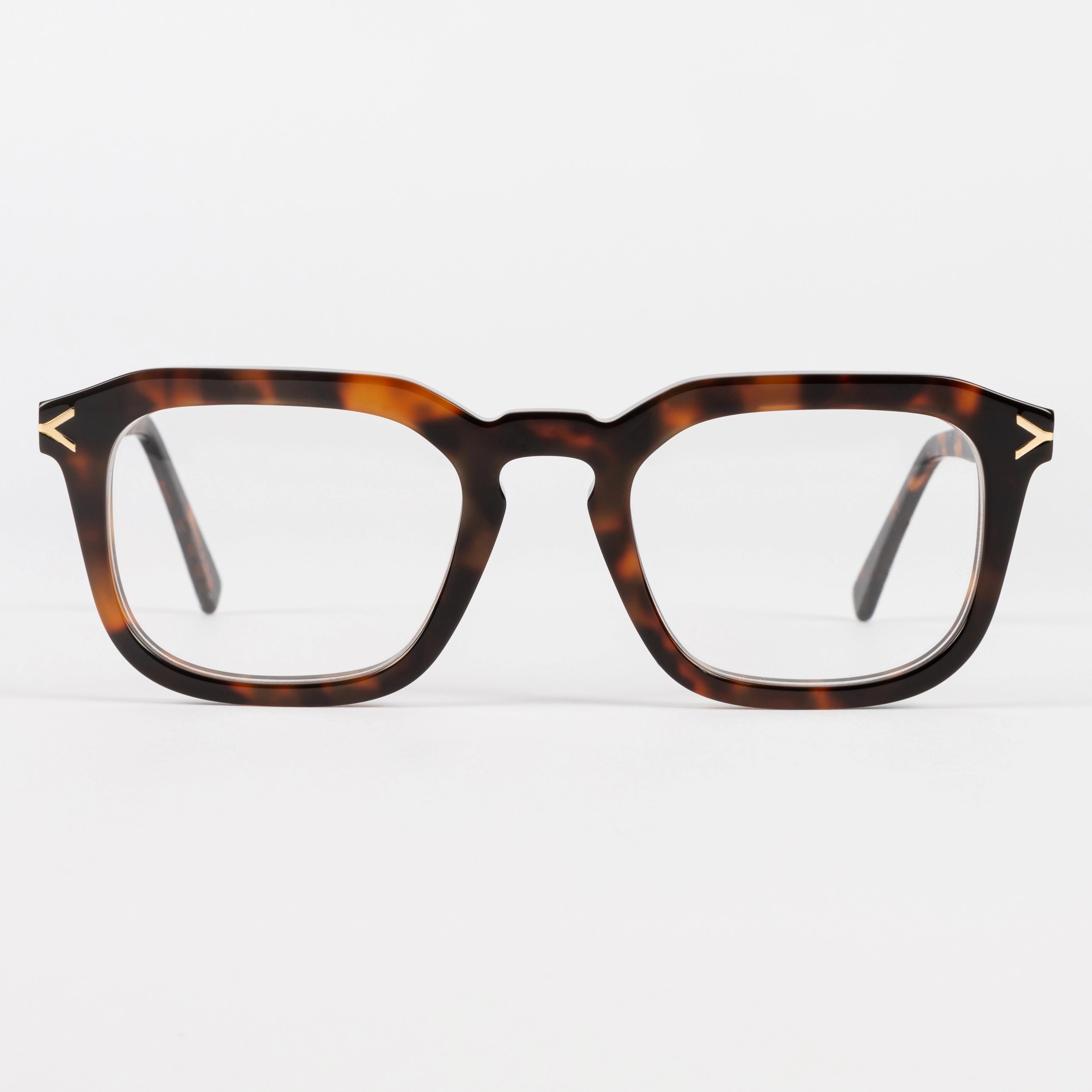 Bentham Spectacles in Tortoise