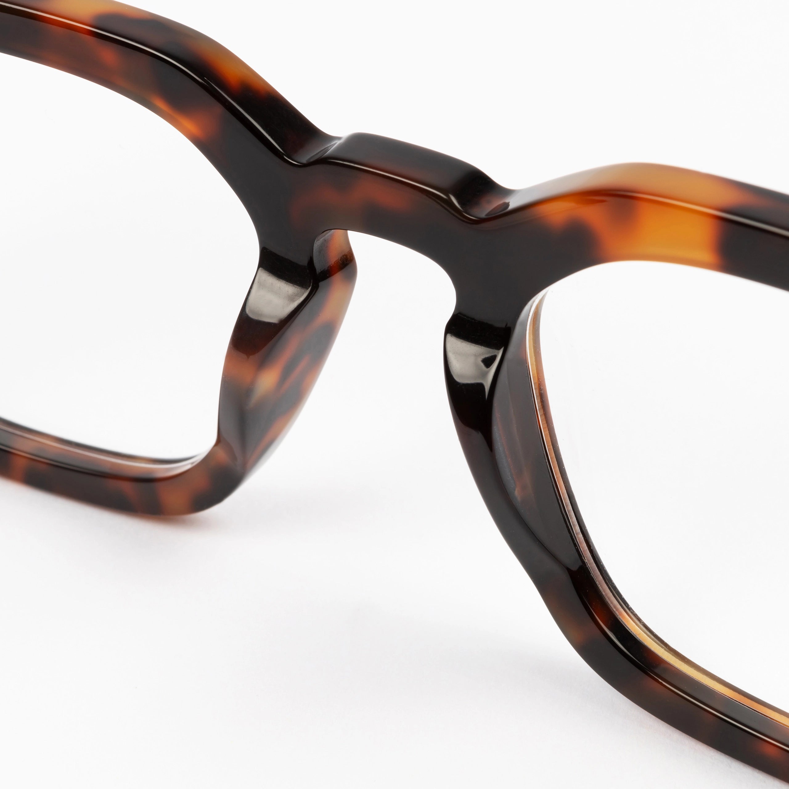Bentham Spectacles in Tortoise