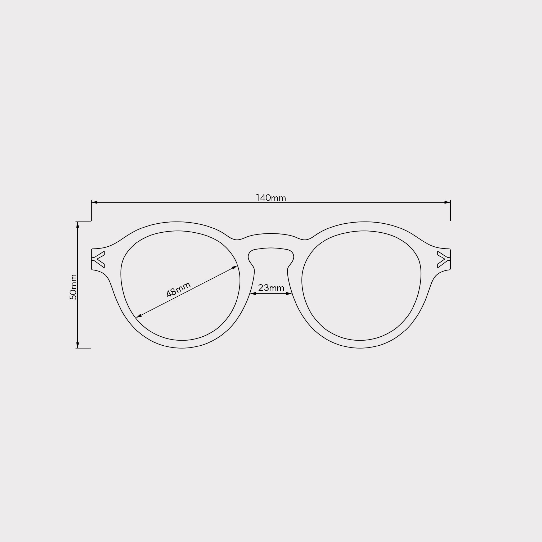 Elswick Spectacles in Smoke Grey