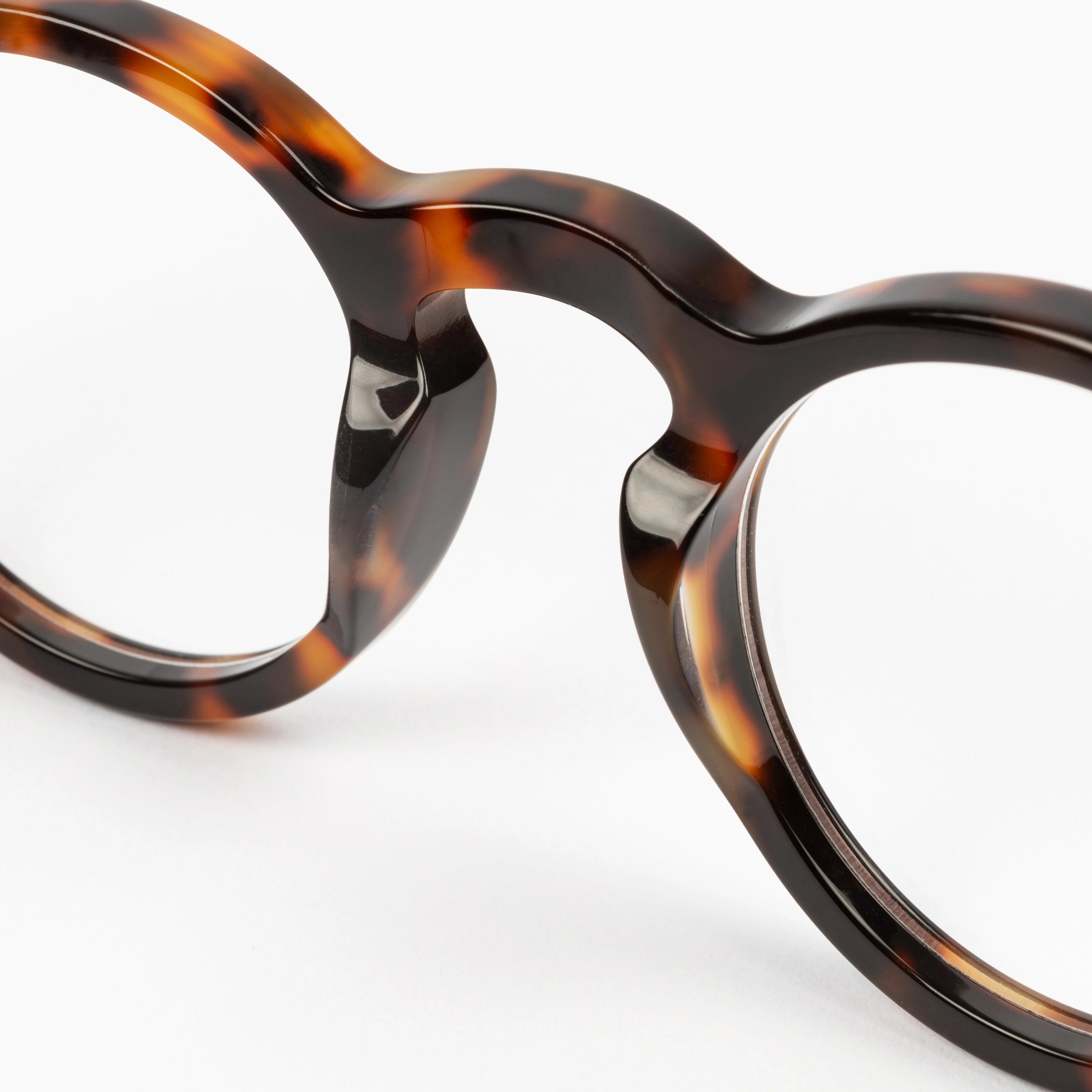 Elswick Spectacles in Tortoise