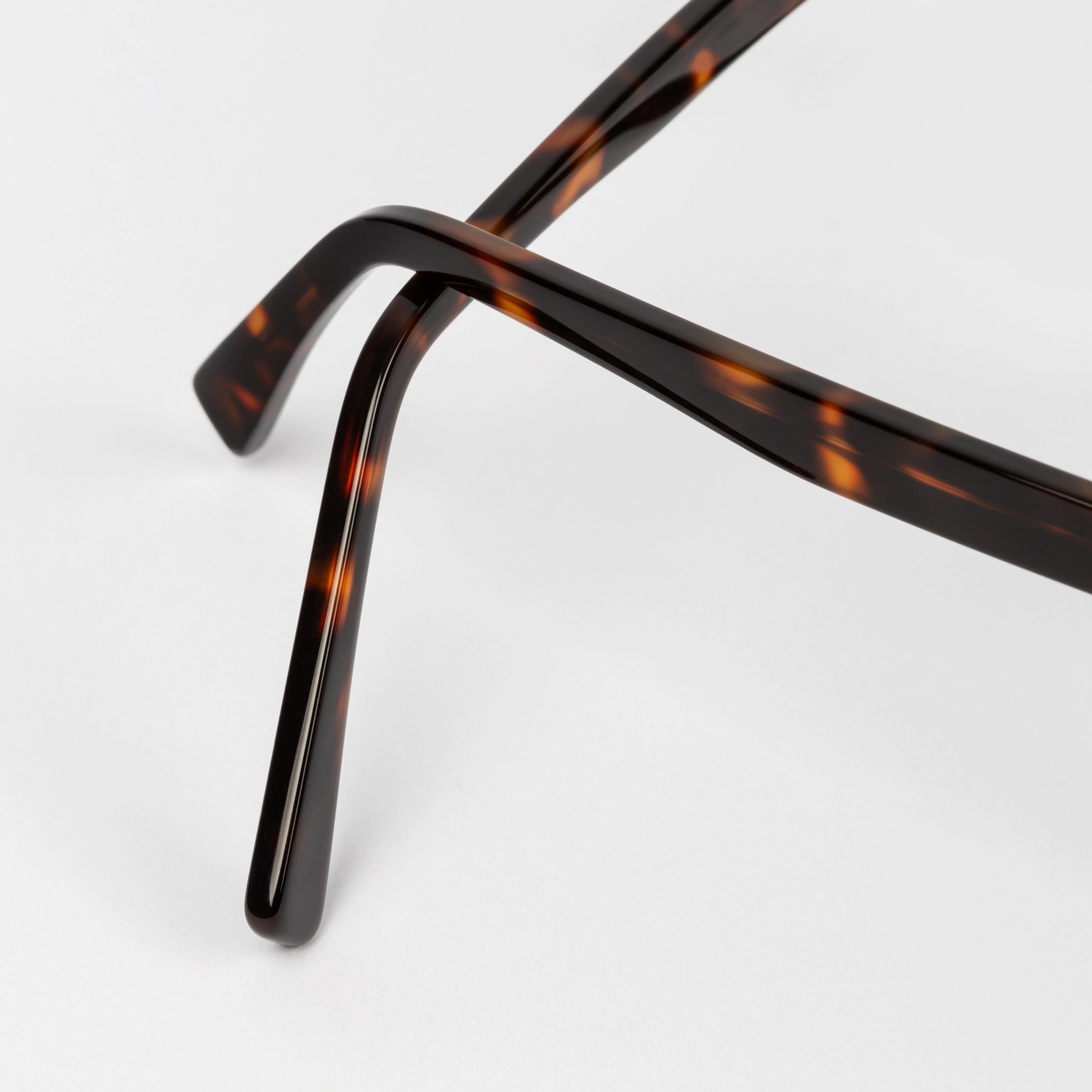 Bentham Spectacles in Tortoise